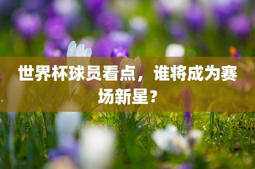 世界杯球员看点，谁将成为赛场新星？