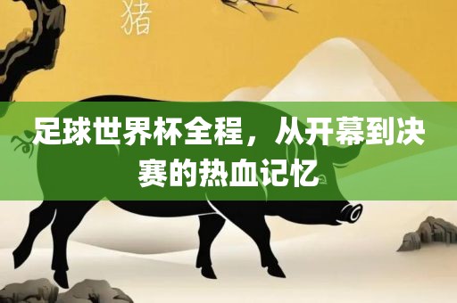 足球世界杯全程，从开幕到决赛的热血记忆