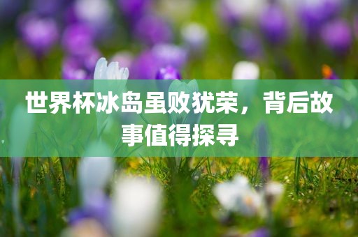 世界杯冰岛虽败犹荣，背后故事值得探寻