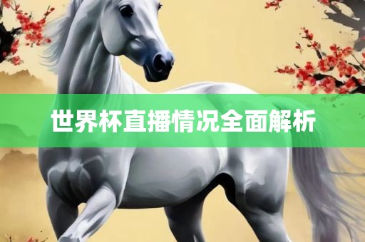 世界杯直播情况全面解析