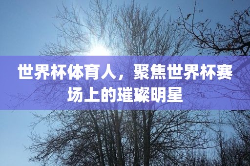世界杯体育人，聚焦世界杯赛场上的璀璨明星