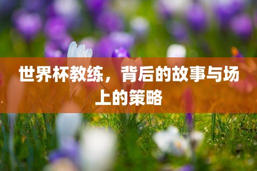 世界杯教练，背后的故事与场上的策略
