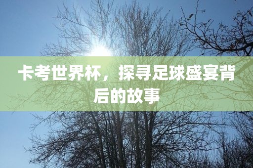卡考世界杯，探寻足球盛宴背后的故事漯河市盈旭机械设备有限公司