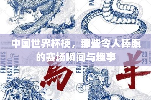 中国世界杯梗，那些令人捧腹的赛漯河市盈旭机械设备有限公司场瞬间与趣事