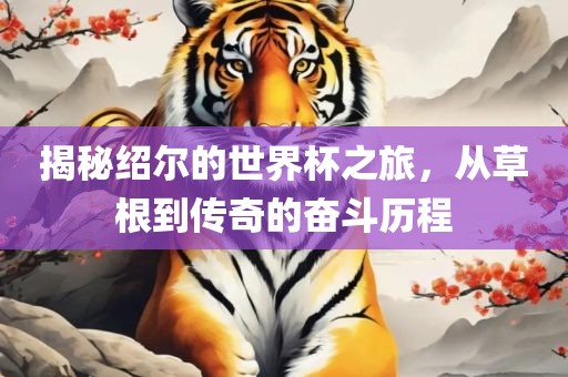 揭秘绍尔的世界杯之旅，从草根到传奇的奋斗历程漯河市盈旭机械设备有限公司