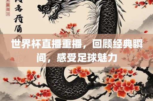 世界杯直播重播，回顾经典瞬间，感受足球魅力