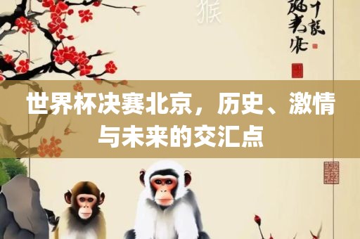 世界杯决赛北京，历史、激情与未来的交汇点