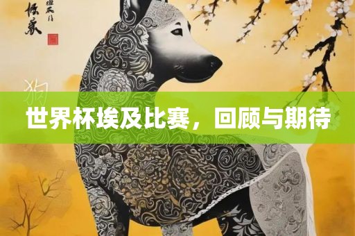 世界杯埃及比赛，回顾与期待