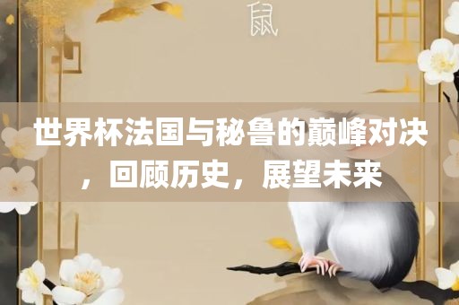 世界杯法国与秘鲁的巅峰对决，回顾历史，展望未来