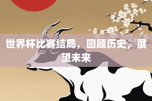 世界杯比赛结局，回顾历史，展望未来