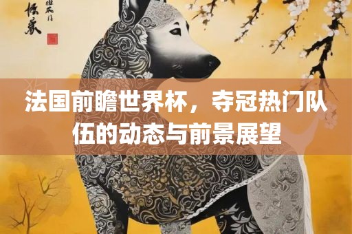 法国前瞻世界杯，夺冠热门队伍的动态与前景展望