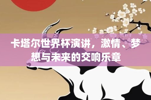 卡塔尔世界杯演讲，激情、梦想与未来的交响乐章