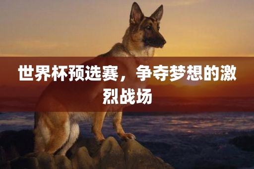 世界杯预选赛，争夺梦想的激烈战场