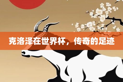 克洛泽在世界杯，传奇的足迹