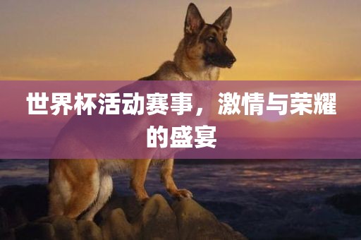 世界杯活动赛事，激情与荣耀的盛宴漯河市盈旭机械设备有限公司