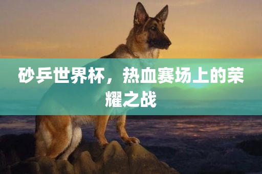砂乒世界杯，热血赛场上的荣耀之战漯河市盈旭机械设备有限公司