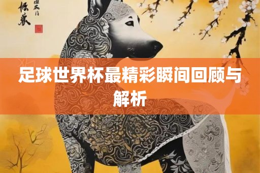 足球世界杯最精彩瞬间回顾与解析漯河市盈旭机械设备有限公司