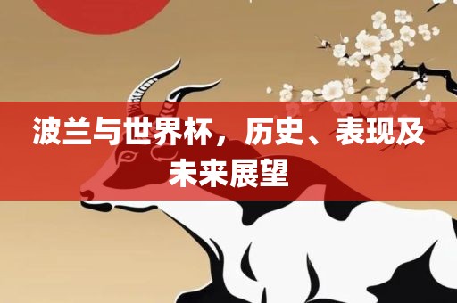 波兰与世界杯，历史、表现及未来展望