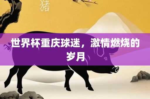 世界杯重庆球漯河市盈旭机械设备有限公司迷，激情燃烧的岁月