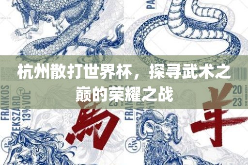 杭州散打世界杯，探寻武术之巅的荣耀之战