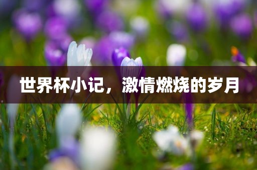 世界杯小记，激情燃烧的岁月