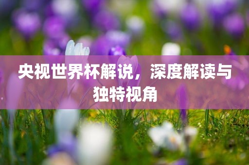 央视世界杯解说，深度解读与独特视角漯河市盈旭机械设备有限公司