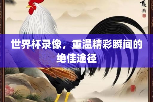 世界杯录像，重温精彩瞬间的绝佳途径漯河市盈旭机械设备有限公司