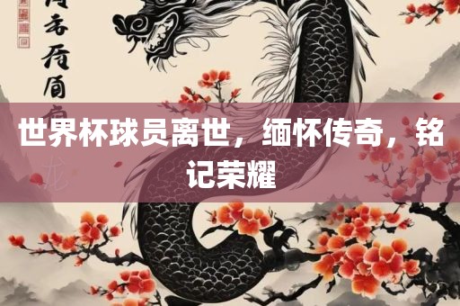 世界杯球员离世，缅怀传奇，铭记荣耀漯河市盈旭机械设备有限公司