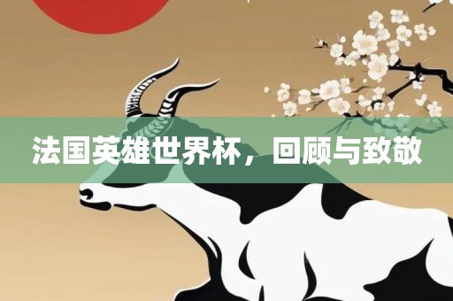 法国英雄世界杯，回顾与致敬