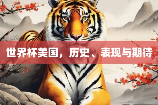 世界杯美国，历史、表现与期待