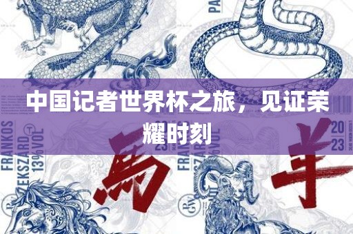 中国记者世界杯之旅，见证荣耀时刻