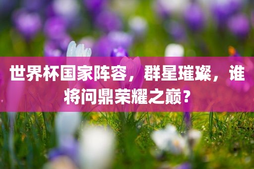 世界杯国家阵容，群星璀璨，谁将问鼎荣耀之巅？