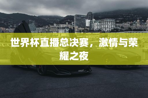 世界杯直播总决赛，激情与荣耀之夜
